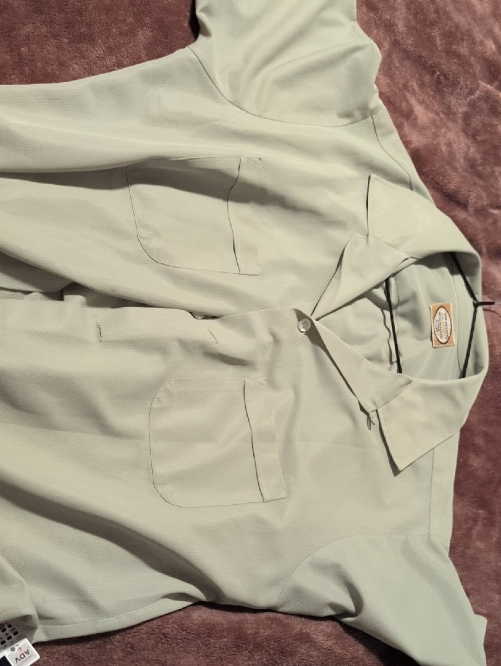 Van Heusen Light Green Casual Button Down Shirt